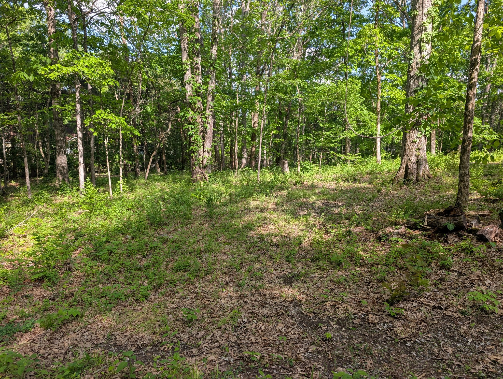 0 Bluff Road