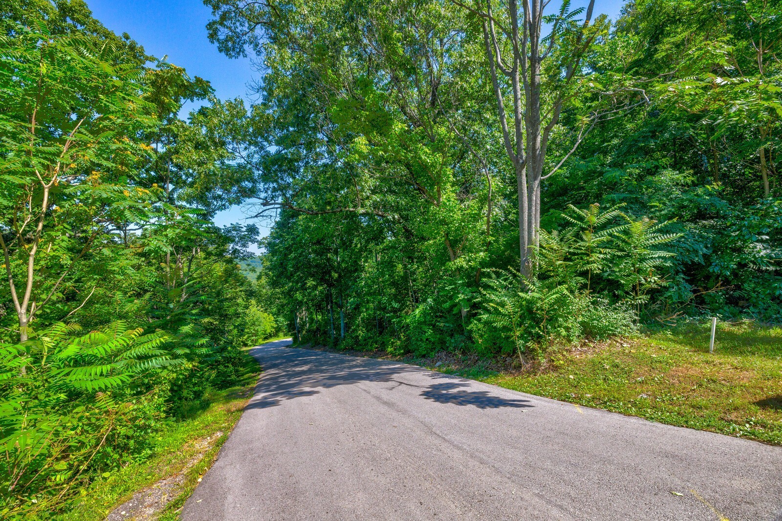 730 Valhalla Ln