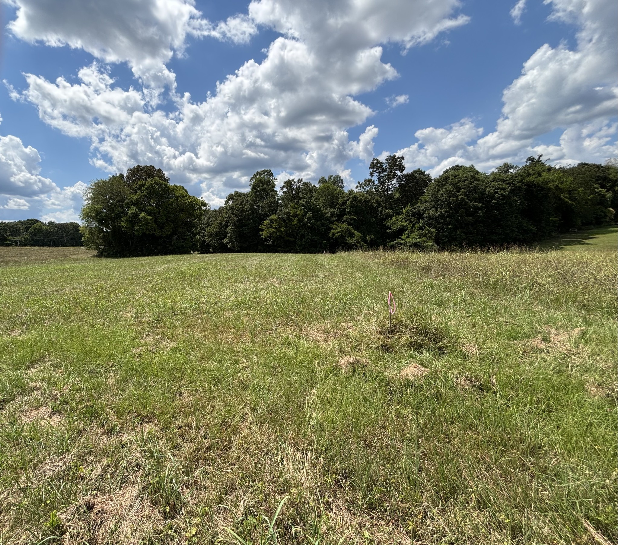 0 Middle Lick Creek Rd