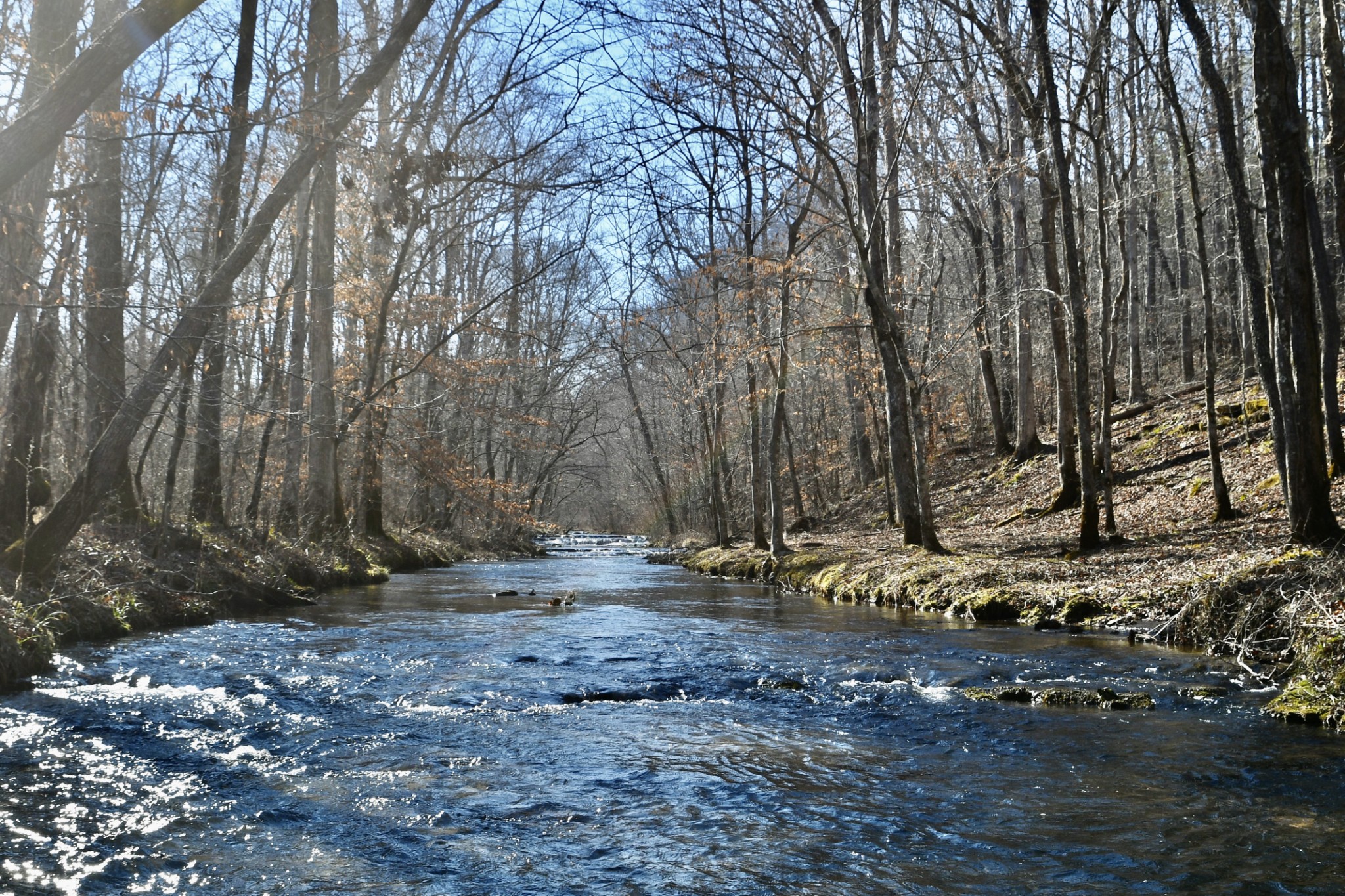0 Allens Creek Road