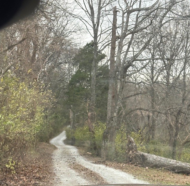 933 Old Lebanon Dirt Rd